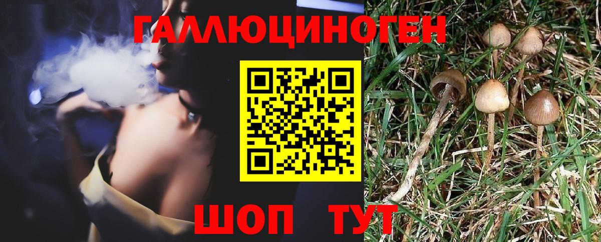 купить закладку  Галлюциногенные грибы Psilocybine cubensis  Вход с VPN  Галлюциногенные грибы мицелий  Спасск-Дальний 
