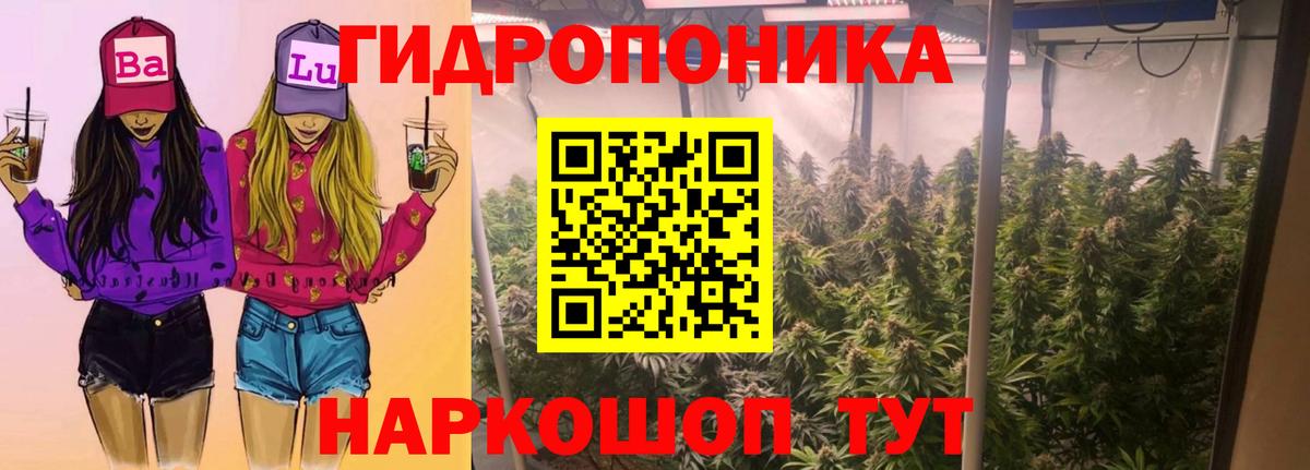 Спасск-Дальний  Канабис индика  Вход с VPN  МАРИХУАНА тримм  Бошки марихуана семена 